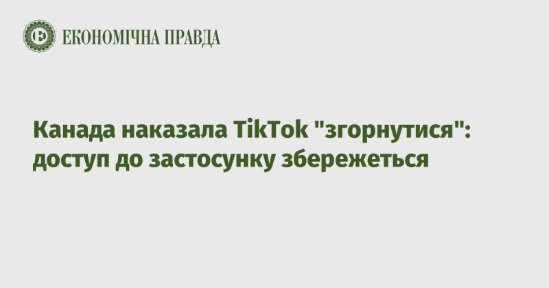 Канада вжила заходів проти TikTok, але доступ до додатку залишиться.